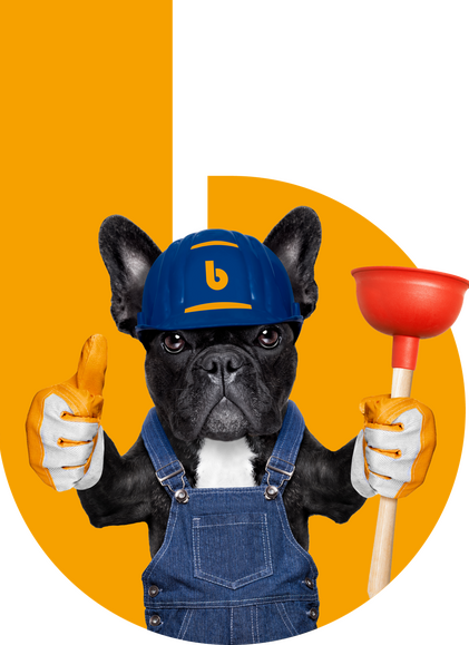 Mops mit einer Saugglocke und einem Daumen hoch vor dem Borgmann-Logo