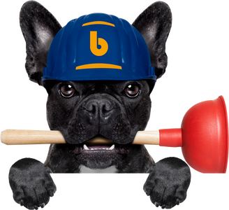 Ein Mops mit einer Saugglocke im Mund