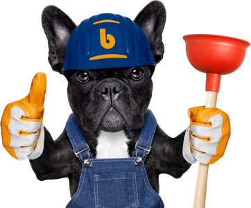 Ein Mops mit einer Saugglocke in der Hand, der einen Daumen hoch zeigt